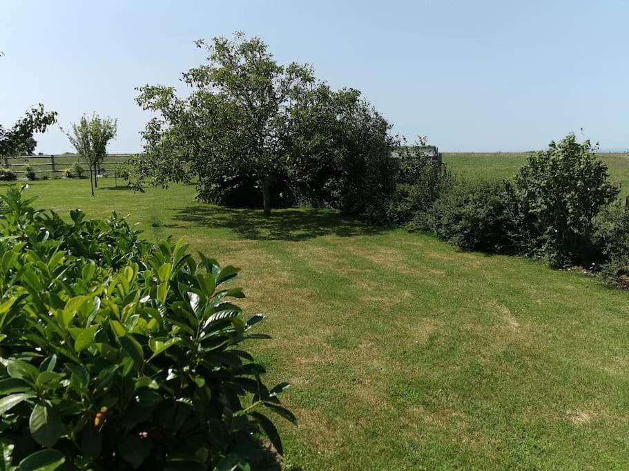 Willa Dependance Au Calme Dans Notre Jardin Saint-Aubin-Des-Preaux Zewnętrze zdjęcie